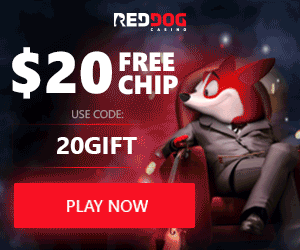 New Casino Red Dog